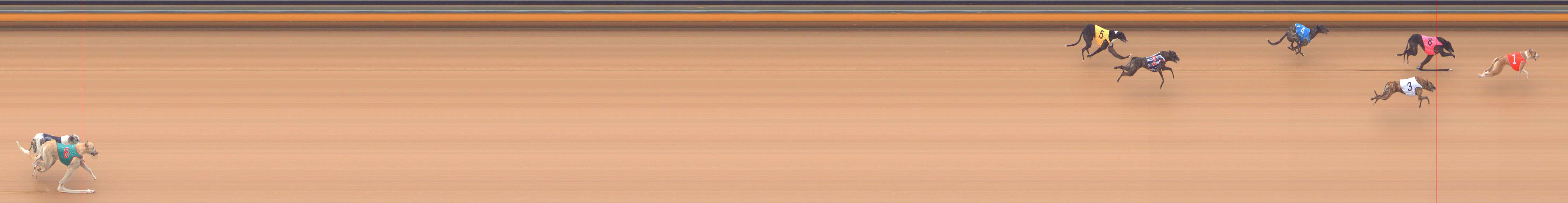 Race result finish photo